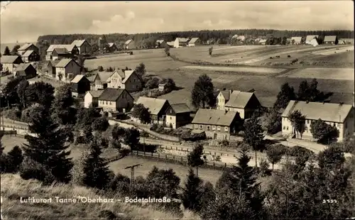 Ak Tanne Oberharz am Brocken, Bodetalstraße, Panorama