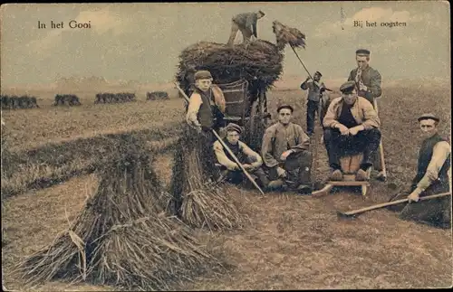 Ak In het Gooi, Bij het oogsten, Bauern, Ernte, Strohgarben