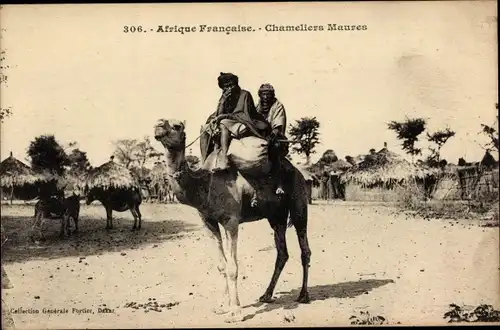 Ak Afrique Francaise, Chameliers Maures, Kamelreiter