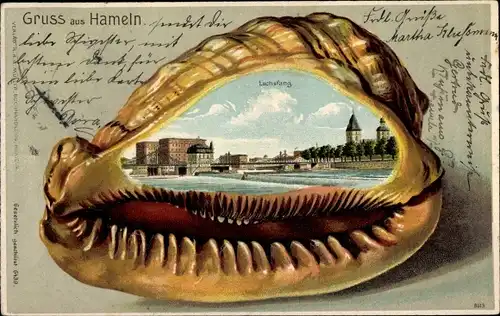 Muschel Litho Hameln an der Weser Niedersachsen, Lachsfang
