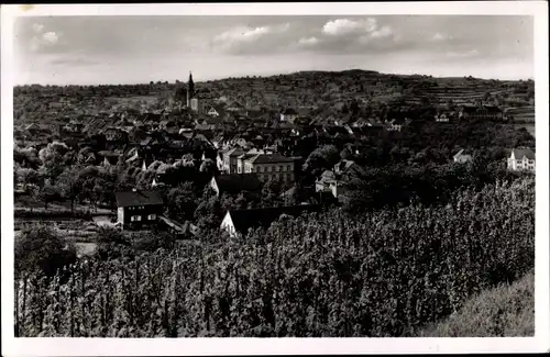 Ak Ettenheim Ortenaukreis, Blick von der Brossmerhöhe zum Ort, Weinberg