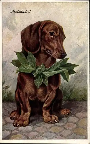 Künstler Ak Preisdackel, Serie 371 76 Wau wau