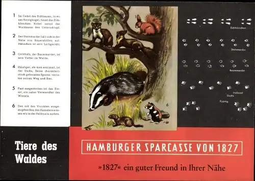 Stundenplan Hambuger Sparkasse von 1827, Tierspuren Abdrücke von Wildtieren um 1960