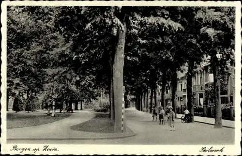 Ak Bergen op Zoom Nordbrabant Niederlande, Bolwerk, Allee