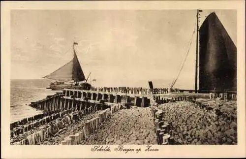 Ak Bergen op Zoom Nordbrabant Niederlande, Schelde, Segelboot