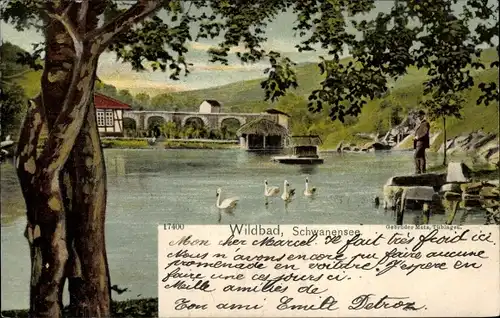 Ak Bad Wildbad im Schwarzwald, Schwanensee