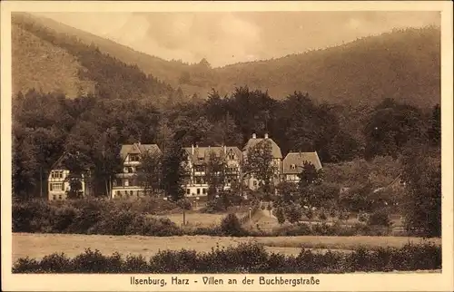 Ak Ilsenburg im Harz, Villen an der Buchbergstraße
