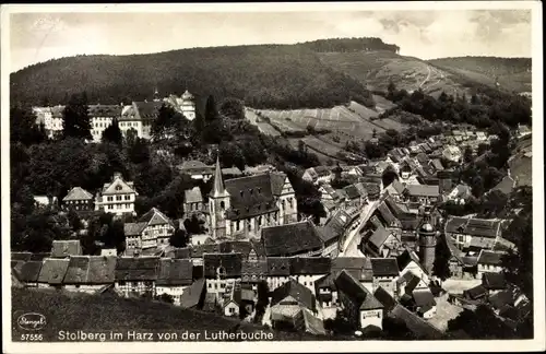 Ak Stolberg Südharz, Blick von der Lutherbuche