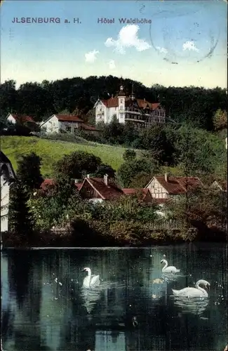 Ak Ilsenburg im Harz, Hotel Waldhöhe, Schwäne