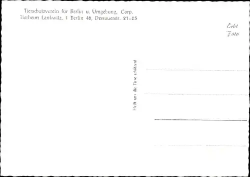 Ak Berlin Steglitz Lankwitz, Tierschutzverein für Berlin u. Umgebung, Tierheim