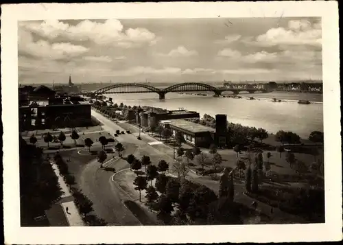 Ak Düsseldorf am Rhein, Rheinterrasse mit Blick auf den Rhein, Brücke
