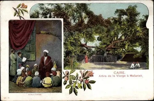 Ak Cairo Kairo Ägypten, Ecole d'Arabe, Arbre de la Vierge à Matarieh