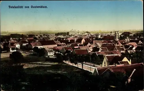 Ak Guntersblum am Rhein, Gesamtansicht