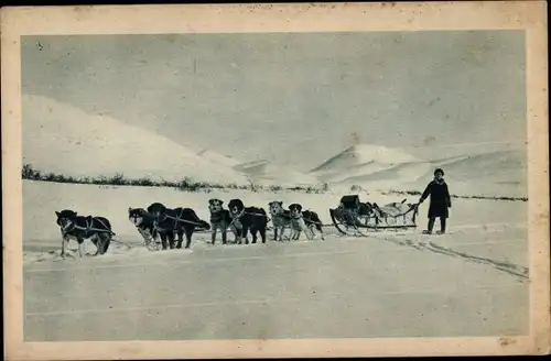 Ak Alaska USA, Wagons lits de l'Arctique, Hundeschlitten