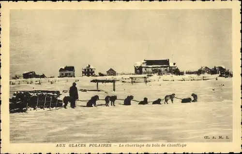 Ak Aux Glaces Polaires, le charriage du bois de chauffage, Schlittenhunde