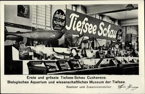 Ak Nordseebad Cuxhaven, Erste und größte Tiefsee Schau, Biolog. Aquarium, wissenschaftl. Museum