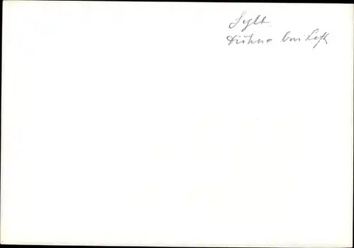 Foto List auf Sylt, Düne