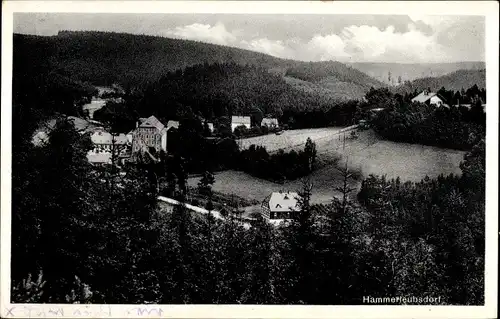 Ak Hammerleubsdorf Leubsdorf in Sachsen, Panorama