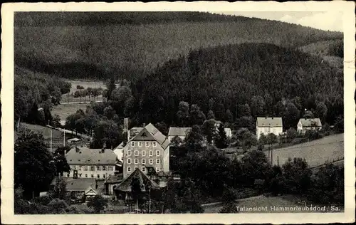 Ak Hammerleubsdorf Leubsdorf in Sachsen, Talansicht