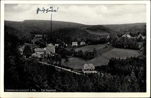 Ak Hammerleubsdorf Leubsdorf in Sachsen, Talansicht