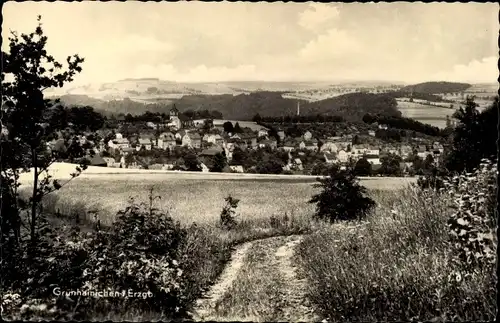 Ak Grünhainichen im Erzgebirge, Panorama