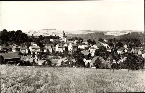 Ak Grünhainichen im Erzgebirge, Panorama