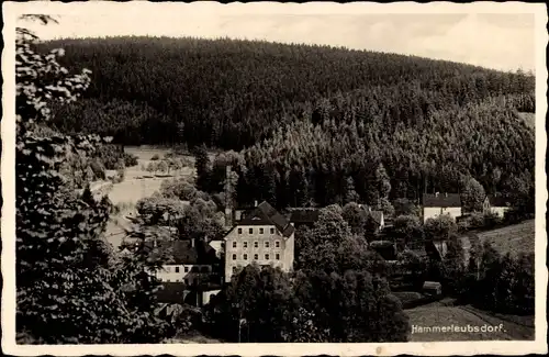 Ak Hammerleubsdorf Leubsdorf in Sachsen, Sommerfrische, Haus, Wald, Vogelschau