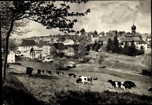 Ak Rübenau Marienberg im Erzgebirge Sachsen, Panorama