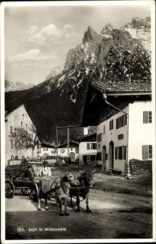 Ak Mittenwald in Oberbayern, Dorfidyll, Ochsengespann