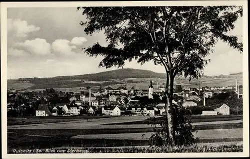 Ak Pulsnitz in Sachsen, Gesamtansicht vom Eierberg aus