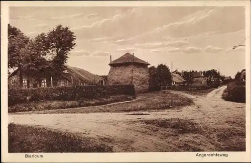 Ak Blaricum Nordholland Niederlande, Angerechtsweg, Wohnhäuser