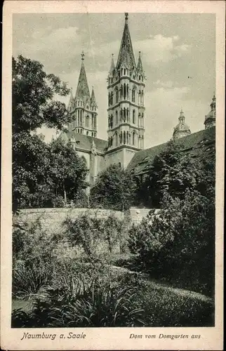 Ak Naumburg an der Saale, Dom vom Domgarten aus