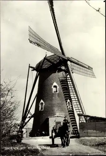 Ak Hilvarenbeek Nordbrabant, Molen, Windmühle