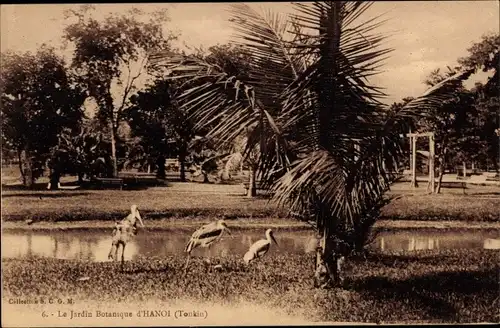 Ak Hanoi Tonkin Vietnam, Le Jardin Botanique
