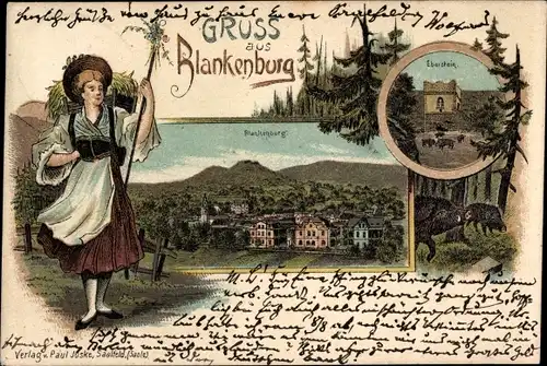 Litho Blankenburg, Panorama, Eberstein, Wildschweine
