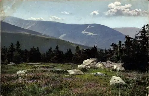 Ak Reg. Königgrätz, Peterbaude, Petrova bouda, Riesengebirge