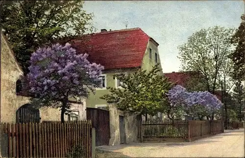 Ak Nenke & Ostermaier Serie 148 Nr 2756, Flieder, Photochromie