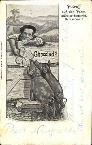 Ak Petroff auf der Farm, humoristischer Dressur Akt, Schweine