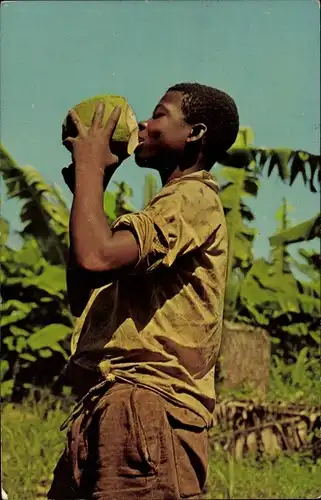Ak Guadeloupe Antiles Francaises, Lait De Coco, La Meilleure Boisson