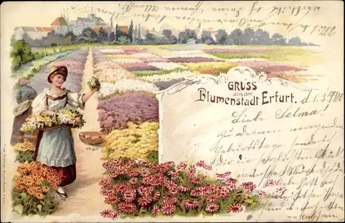 Litho Erfurt in Thüringen, Gärtnerin, Blumenbeete, Panorama vom Ort