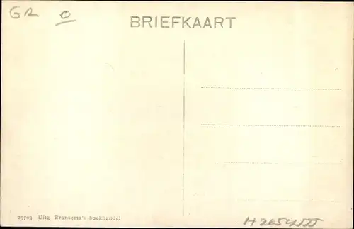 Ak Leek Groningen Niederlande, Huize Nienoort