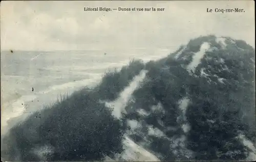 Ak De Haan Le Coq sur Mer Westflandern, Dunes et vue sur la mer