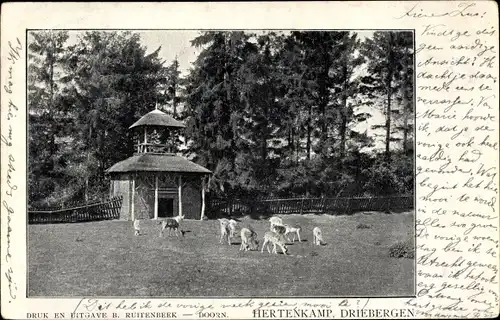 Ak Driebergen Utrecht Niederlande, Hertenkamp
