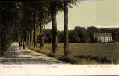 Ak Geldermalsen Gelderland, De Koppel