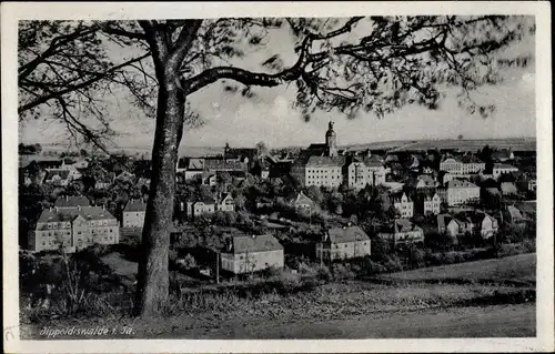 Ak Dippoldiswalde im Erzgebirge, Blick auf den Ort, Teilansicht