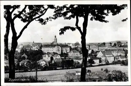 Ak Dippoldiswalde im Erzgebirge, Durchblick zum Ort