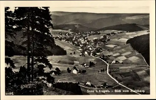 Ak Sosa Eibenstock Erzgebirge, Blick vom Eselsberg