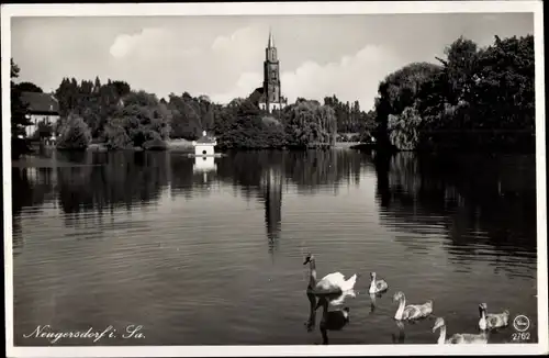 Ak Neugersdorf in Sachsen, Schwanenteich mit Kirchturm, Weiher