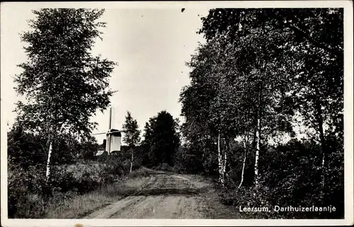 Ak Leersum Utrechtse Heuvelrug, Darthuizerlaantje, Wegpartie mit Blick zur Windmühle