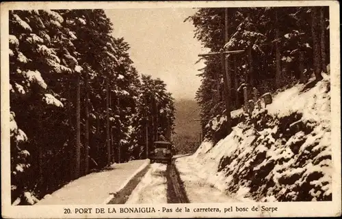 Ak Katalonien Spanien, Pòrt dera Bonaigua, Pas de la carretera, pel bosc de Sorpe